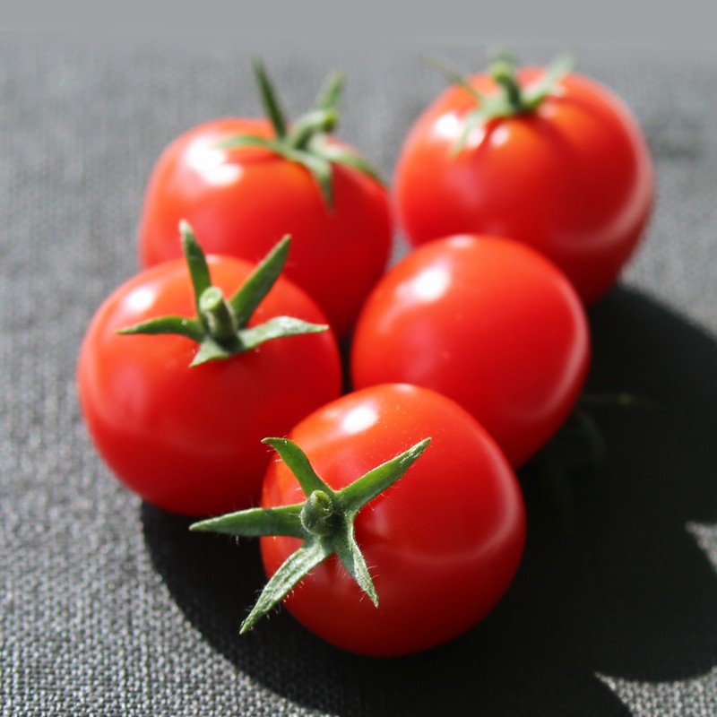 4008云顶集团|中国有限公司-官方网站