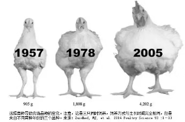 20181103135546 4008云顶集团|中国有限公司-官方网站