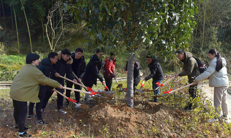 4008云顶集团|中国有限公司-官方网站