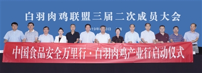 4008云顶集团|中国有限公司-官方网站